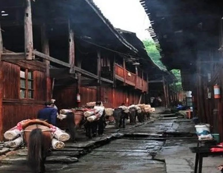 https://mmbiz.qpic.cn/sz_mmbiz_jpg/8FicEGkYv0VmFj1HXBglaXiaowznpvUVJib3akVqyaia3MHm0ZwCUxNLLveCJQplGDekRMNsianKEN6IlNFKonHZ77g/640?wx_fmt=jpeg